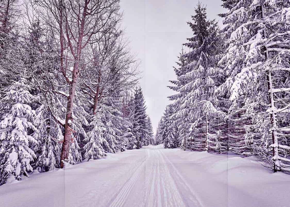 Winter Snow Backdrops Photo Studio Vinyl Tree Photography Props Background 7x5ft