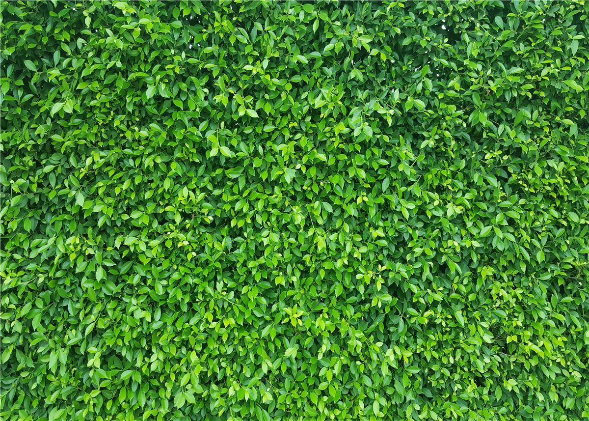 Green Leaves Photography Backdrops Vinyl Background For Baby Photo Props Studio