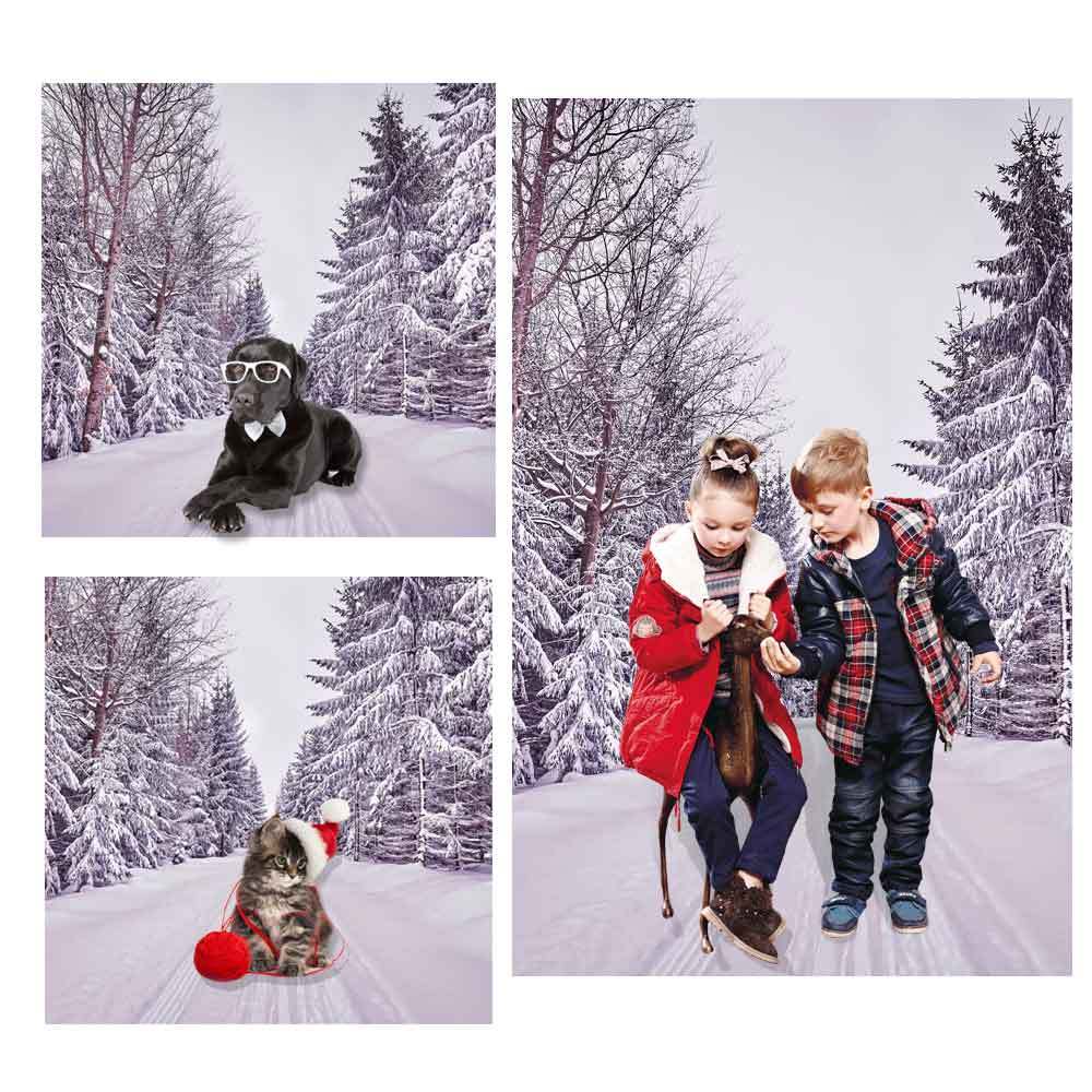 Winter Snow Backdrops Photo Studio Vinyl Tree Photography Props Background 7x5ft