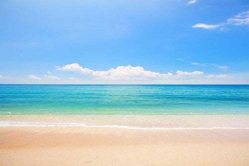 Vinyl Scenic Photography Background Beach Sea Backdrop