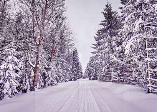 Winter Snow Backdrops Photo Studio Vinyl Tree Photography Props Background 7x5ft
