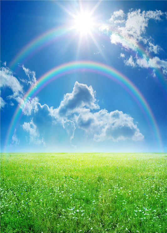 Outdoor Rural Blue Sky Rainbow Backdrops Photo Supply Props Background 5x7FT